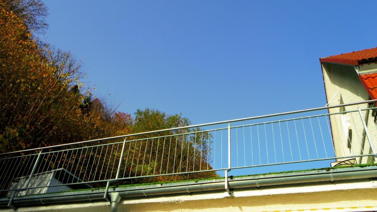 Villa Fink Schramberg Exterior photo